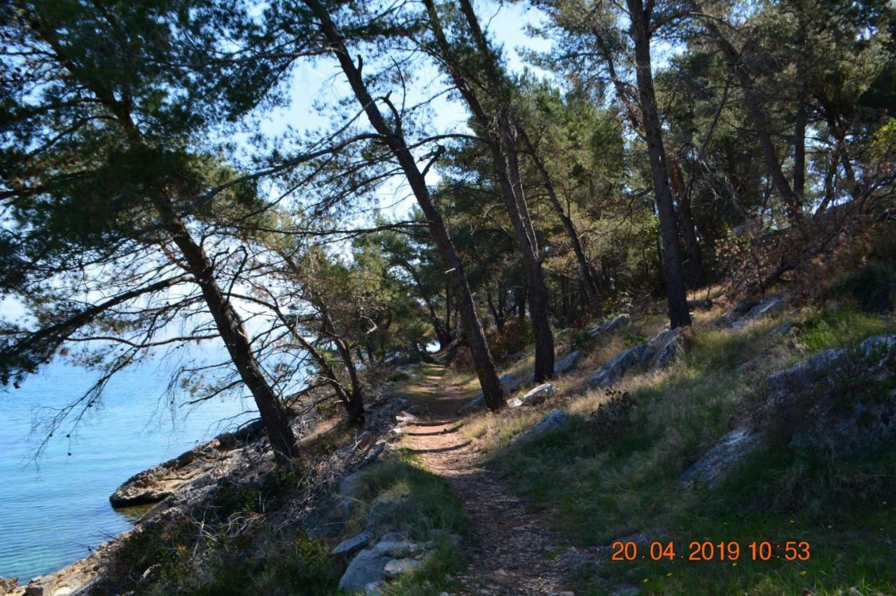 Sealodge - Luxe Villa, Private Pool, Mooring, Parking, Sea & Mountain View, At 150 M From Idyllic Private Beach Rogač Extérieur photo